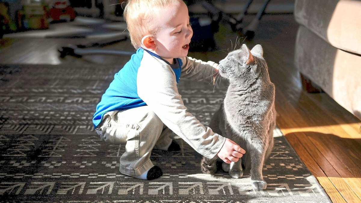 Swedish Study Finds No Evidence That Pet Cats Worsen Childhood Asthma