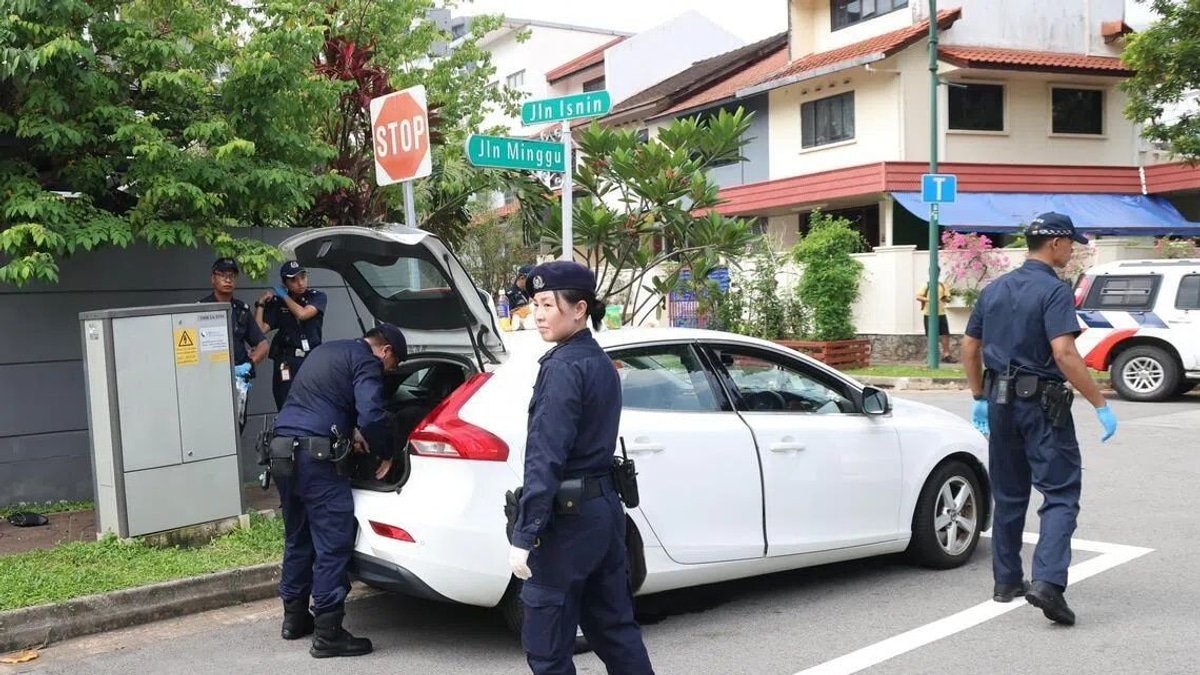 Woman Arrested After Drugs and Vapes Found in Sin Ming Vehicle