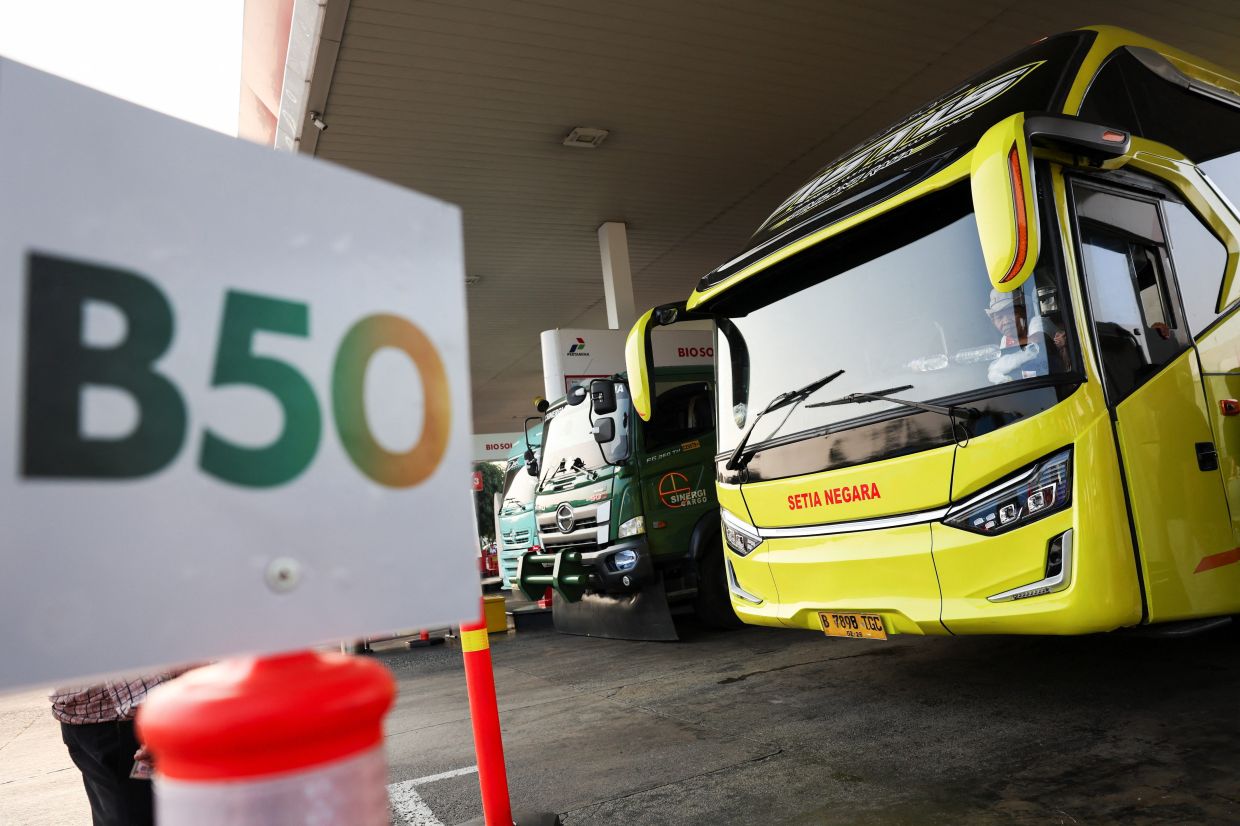 Indonesia Ramps Up Palm Oil Biodiesel Push with B50 Mandate to Slash Fuel Imports
