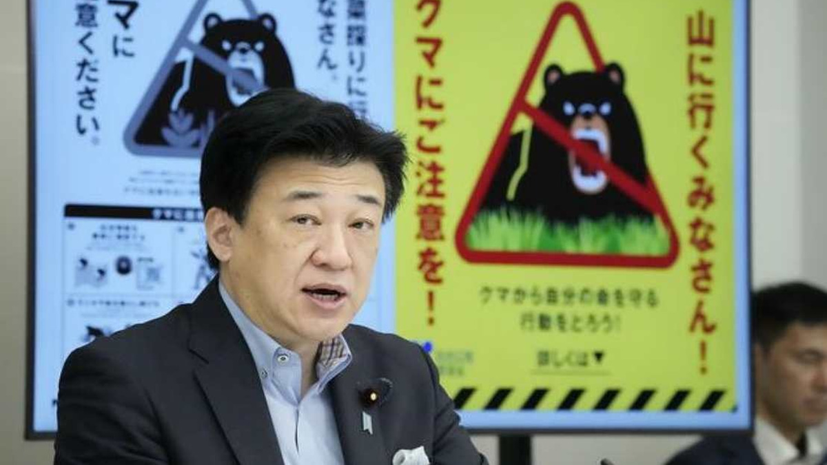 Japan Launches Major Bear Survey After Record Attack Surge
