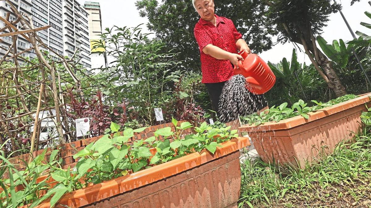 From Wasteland to Wellness: How Kuala Lumpur's 1Razak Mansion Food Forest is Transforming Senior Care