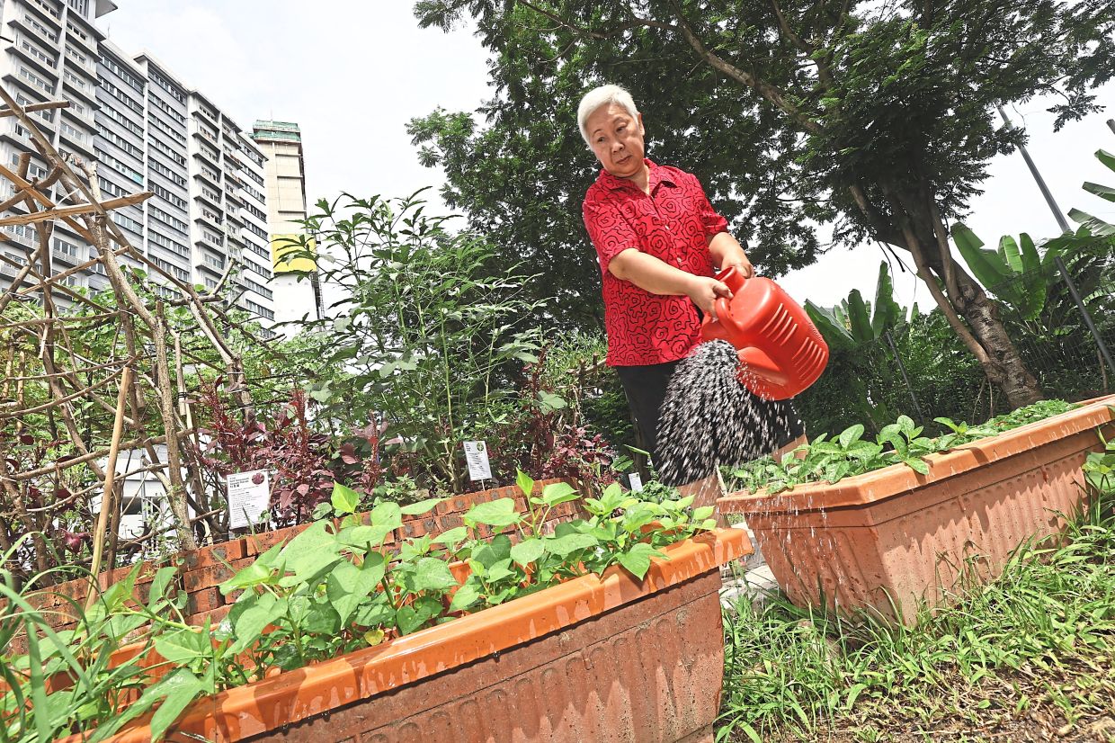 From Wasteland to Wellness: How Kuala Lumpur's 1Razak Mansion Food Forest is Transforming Senior Care