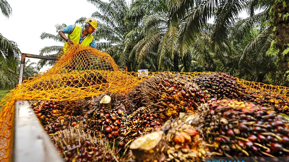 MPOB to establish RM20-25 million research station in Melaka to transform palm oil sector