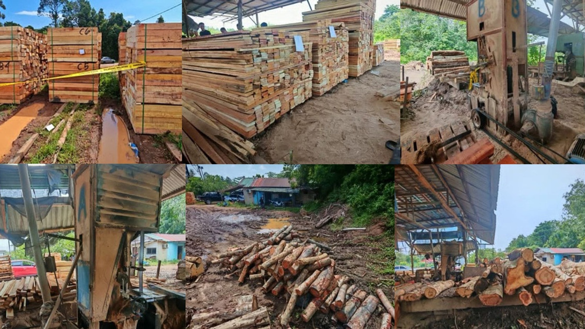 Four arrested as authorities clamp down on illegal timber operations in Kelantan