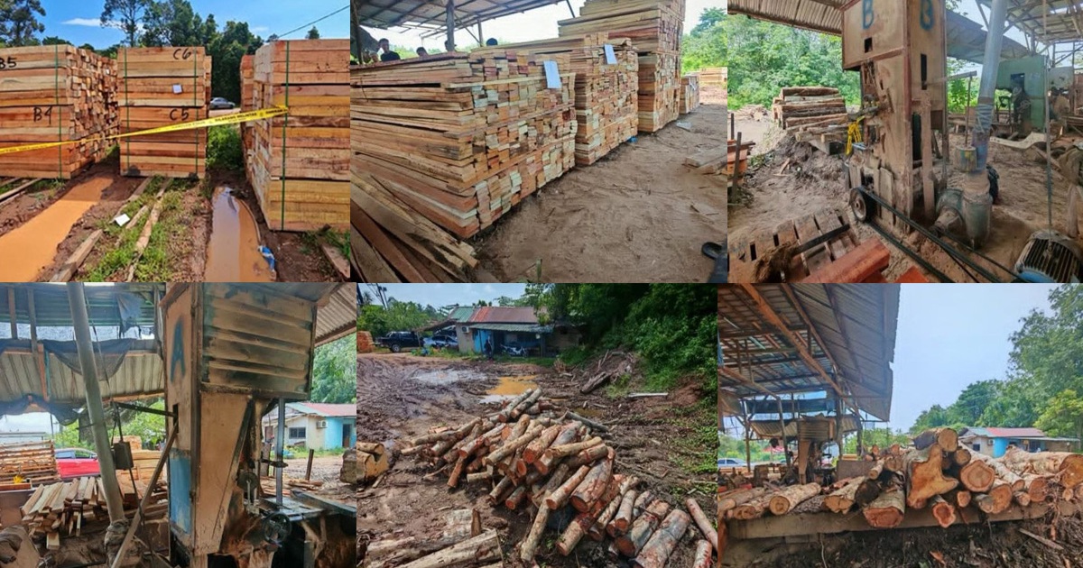 Four arrested as authorities clamp down on illegal timber operations in Kelantan