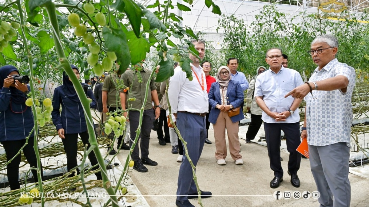 Pahang Sultan Urges Farmers To Cut Pesticide Use In Cameron Highlands