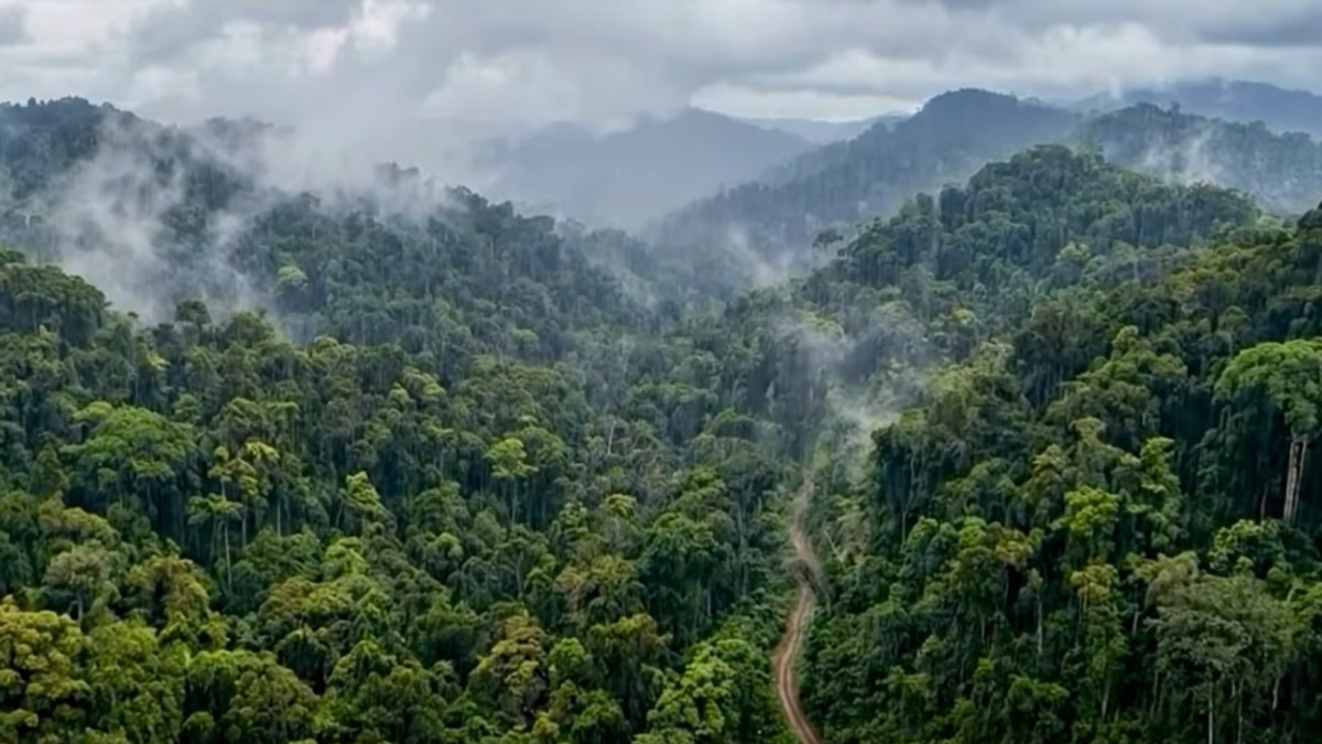 Perlis to Launch 'Royal Nakawan' Tourism Project This October