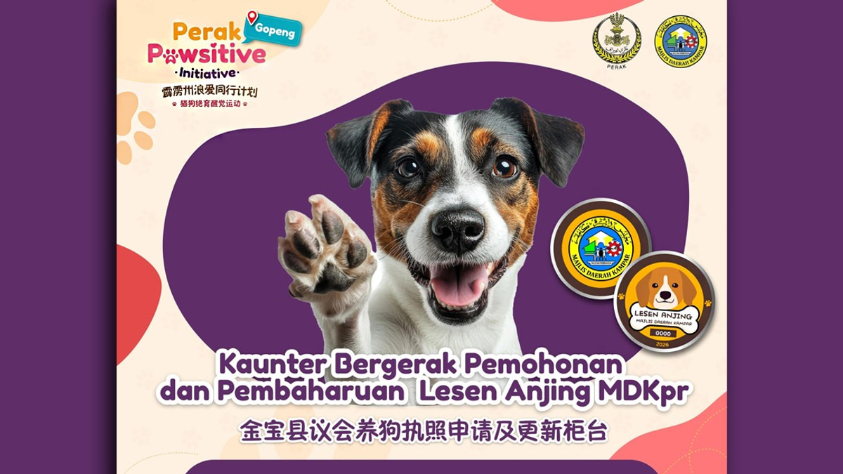 Perak's Dog Licensing By-Laws Overhaul Set for Year-End Review Completion