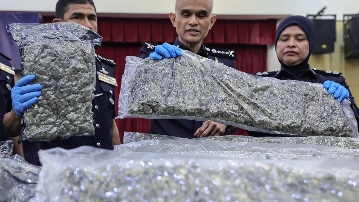 Police Bust Major Cannabis Operation at KLIA, Nab 38 Suspects