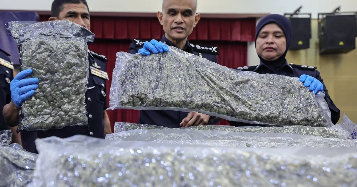 Police Bust Major Cannabis Operation at KLIA, Nab 38 Suspects