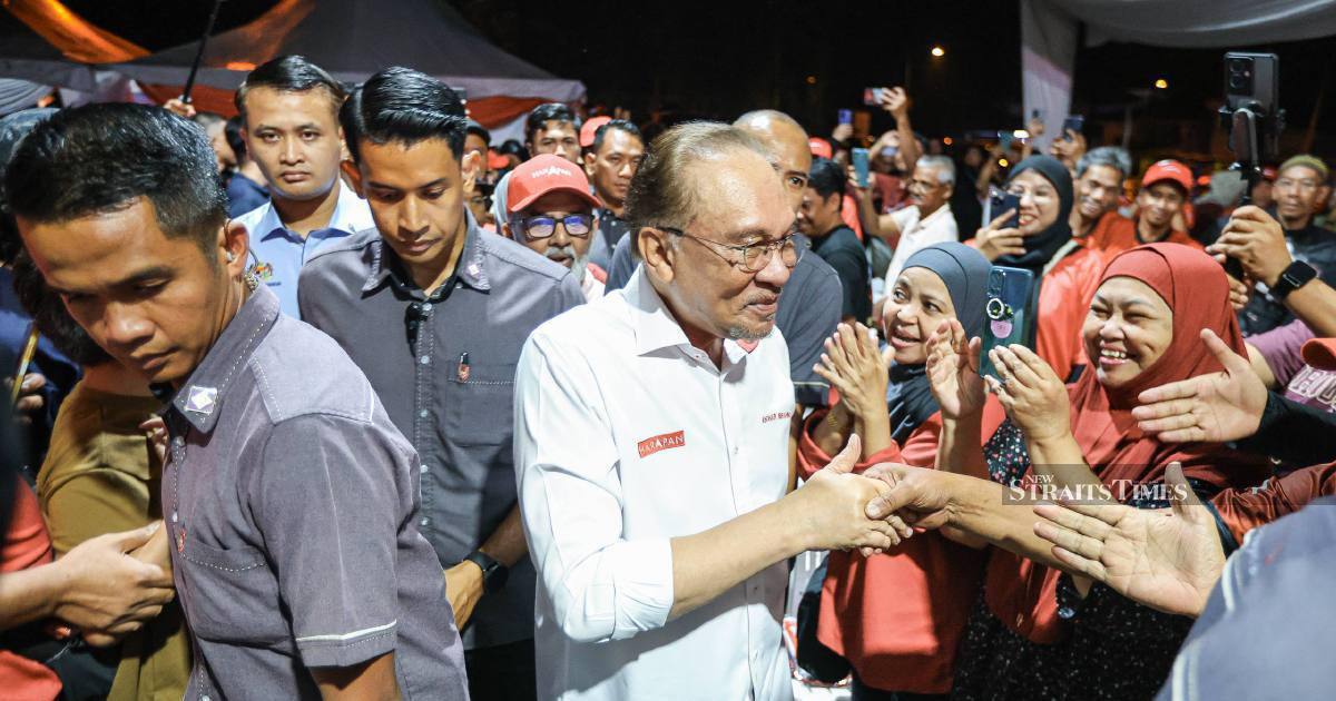 Anwar urges diaspora Johoreans to return home for state polls