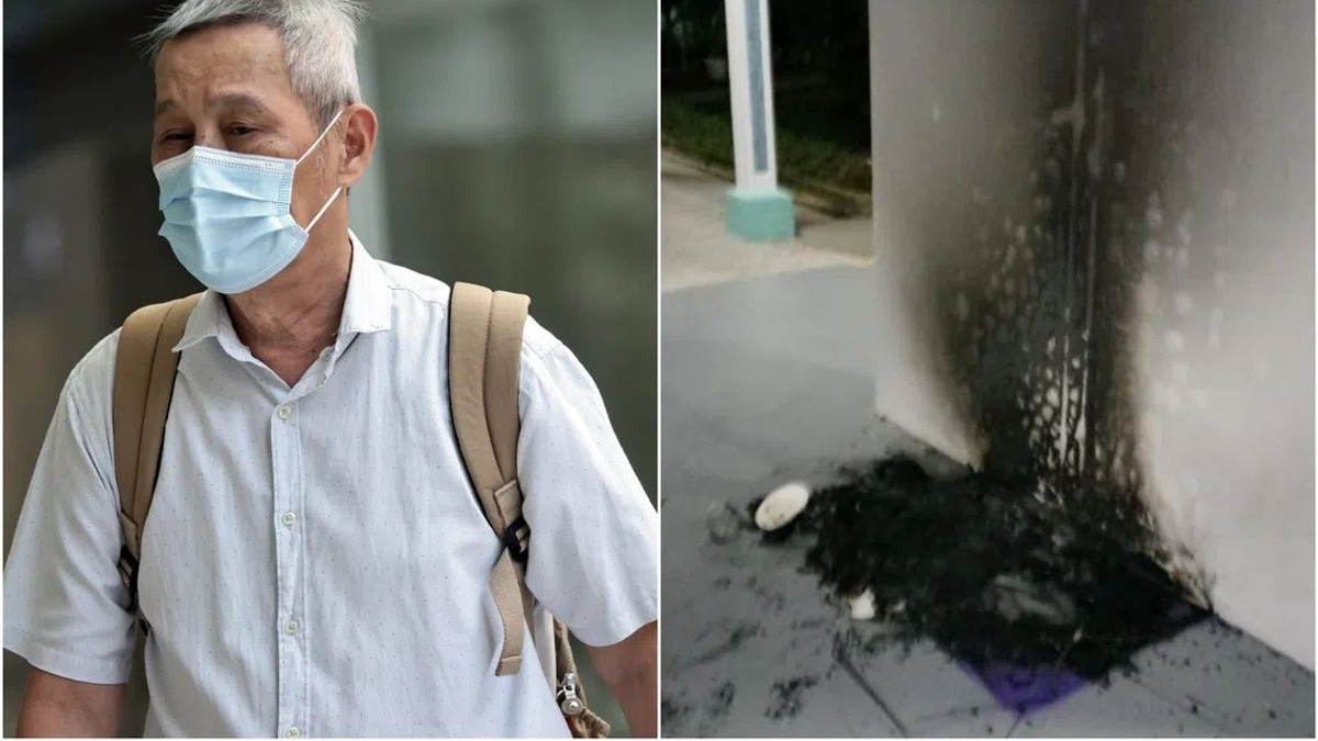 Singapore man jailed three months for torching community cat shelters in dispute over stray animal welfare