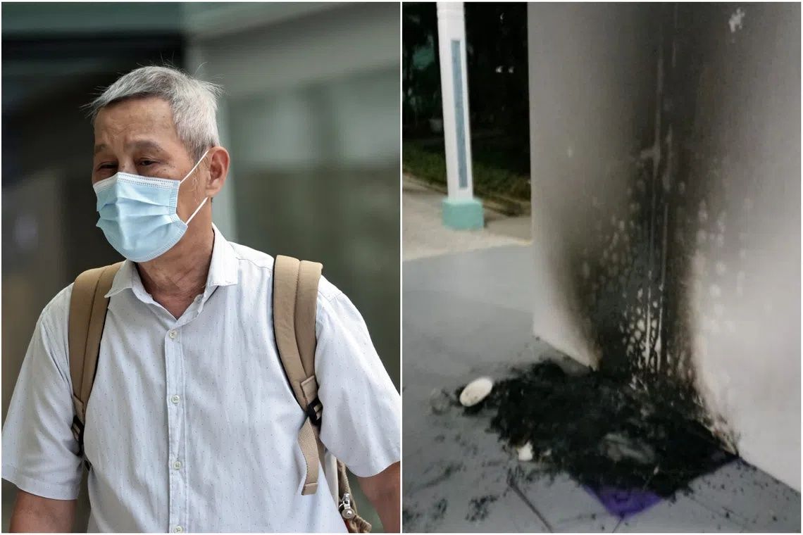 Singapore man jailed three months for torching community cat shelters in dispute over stray animal welfare