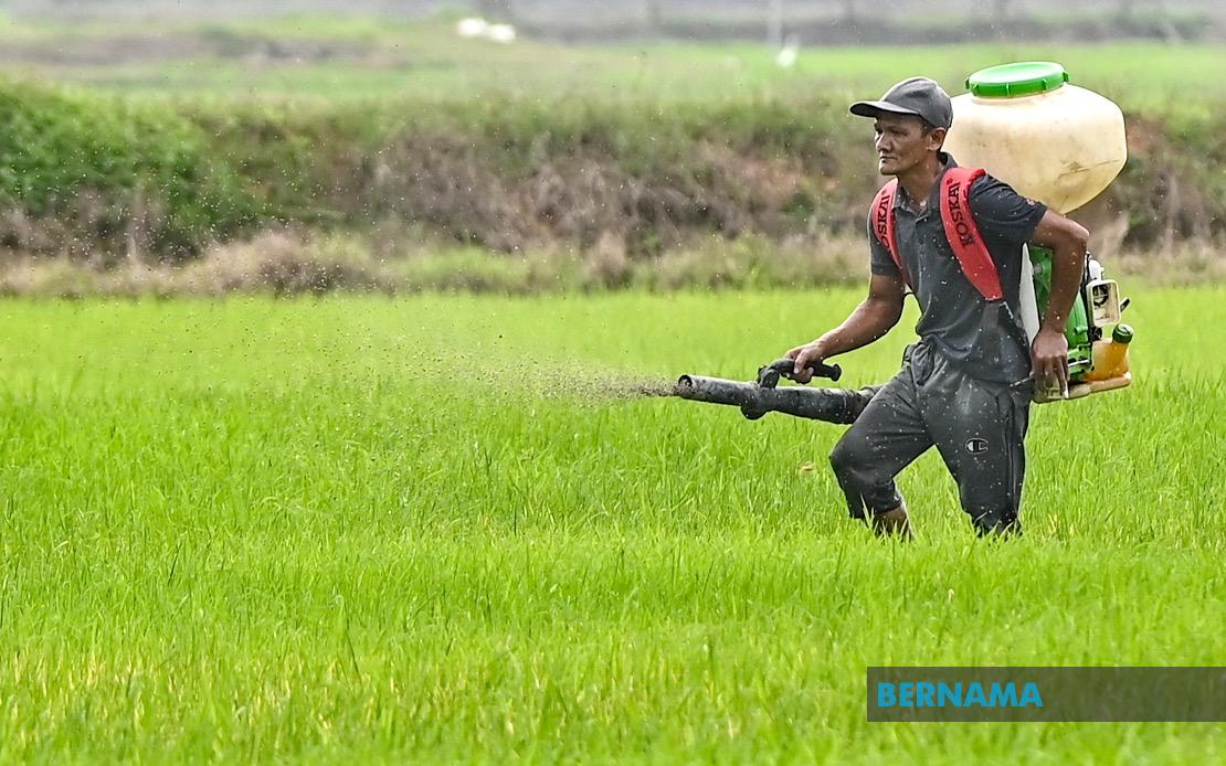 Kelantan Invests RM3.64 Million In Agriculture Push Targeting Food Self-Sufficiency