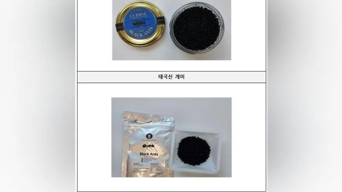 South Korean Michelin-starred chef faces prison for serving black ants as garnish