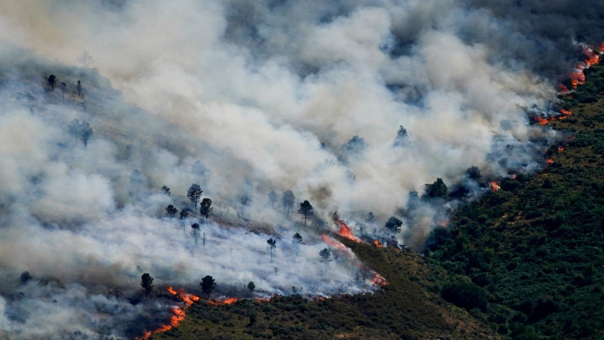 Spain Evacuates Nearly 60,000 As Wildfires Sweep Madrid Region