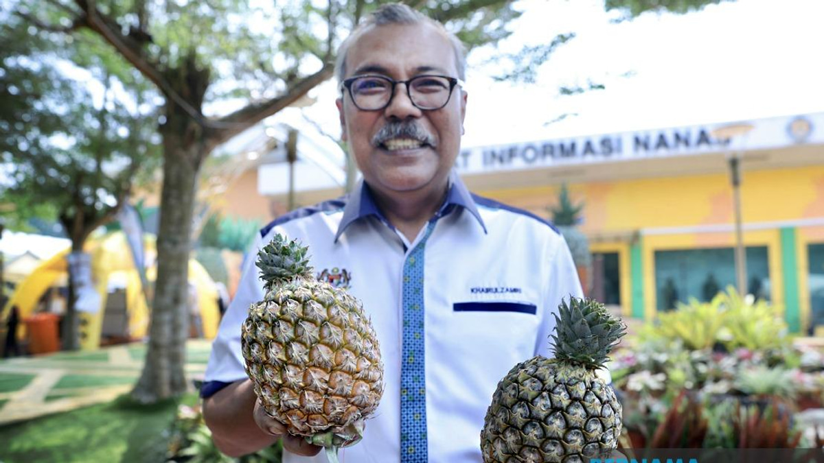 Sarawak's Golden Pineapple Variety Debuts at MAHA 2026 with Strong Export Potential