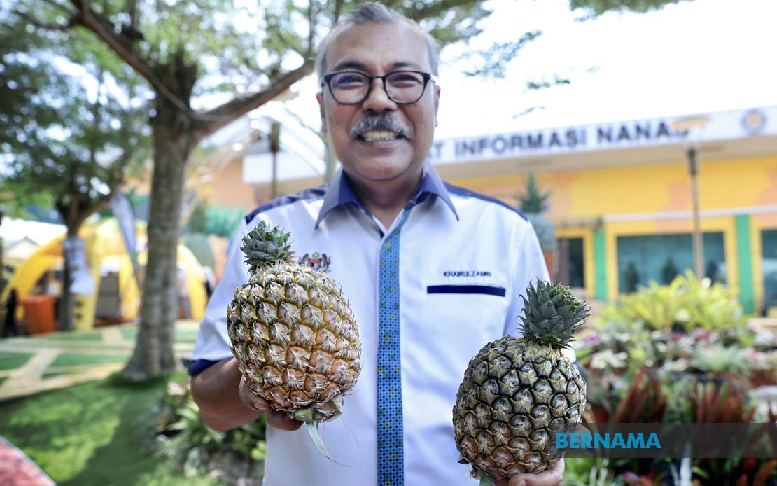 Sarawak's Golden Pineapple Variety Debuts at MAHA 2026 with Strong Export Potential