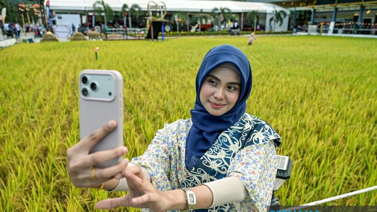 Record-Breaking Paddy Art Unveiled at MAHA 2026 Laman Padi in Serdang