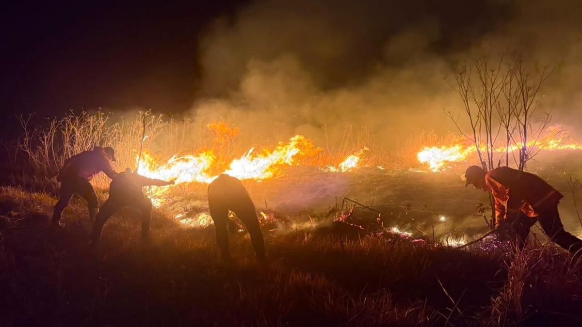 Mount Bromo wildfire expands to 520 hectares as winds intensify East Java crisis