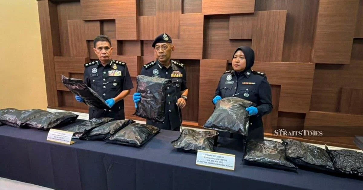 Student Arrested With RM1.17mil Cannabis Haul At Border Checkpoint