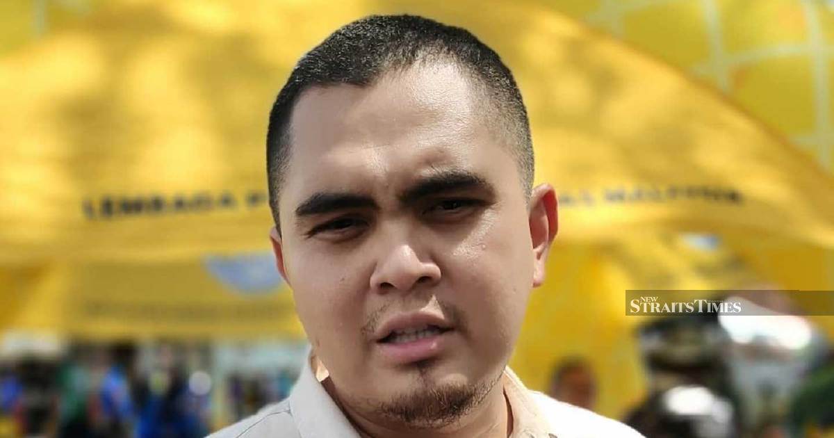 Strategic voting blueprint: How Johor polls could unite Umno and Pas, according to Akmal