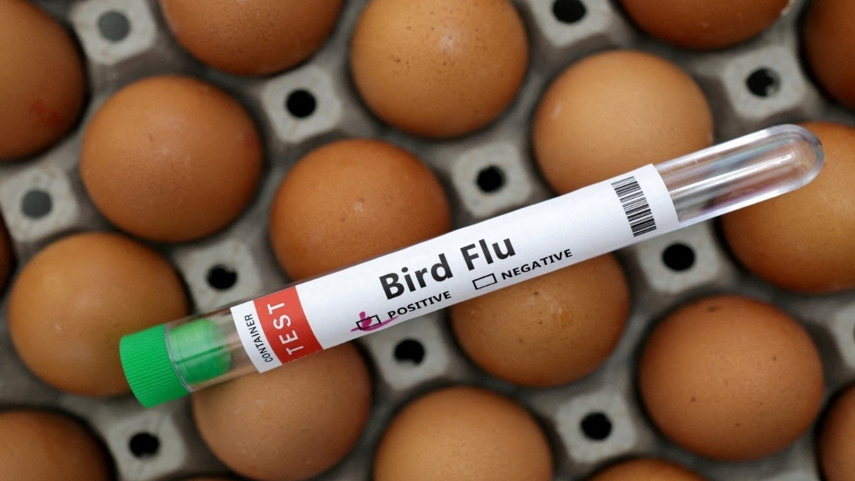 Victoria Orders Mandatory Indoor Housing for Poultry as H5N1 Bird Flu Spreads Across Australian State