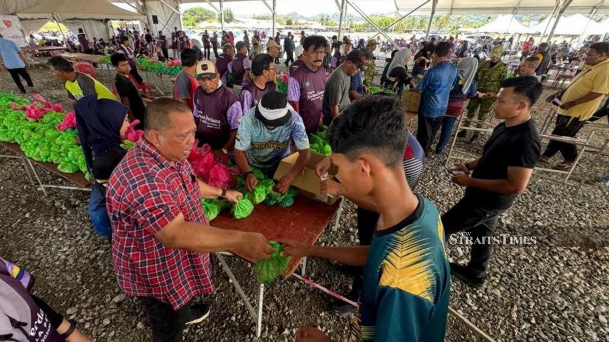 Perlis MB shoots raging cow to protect volunteers and public