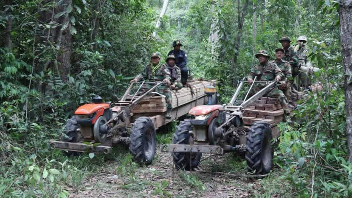 Cambodia military seizes four cubic metres of illegal timber in pre-dawn forest operation