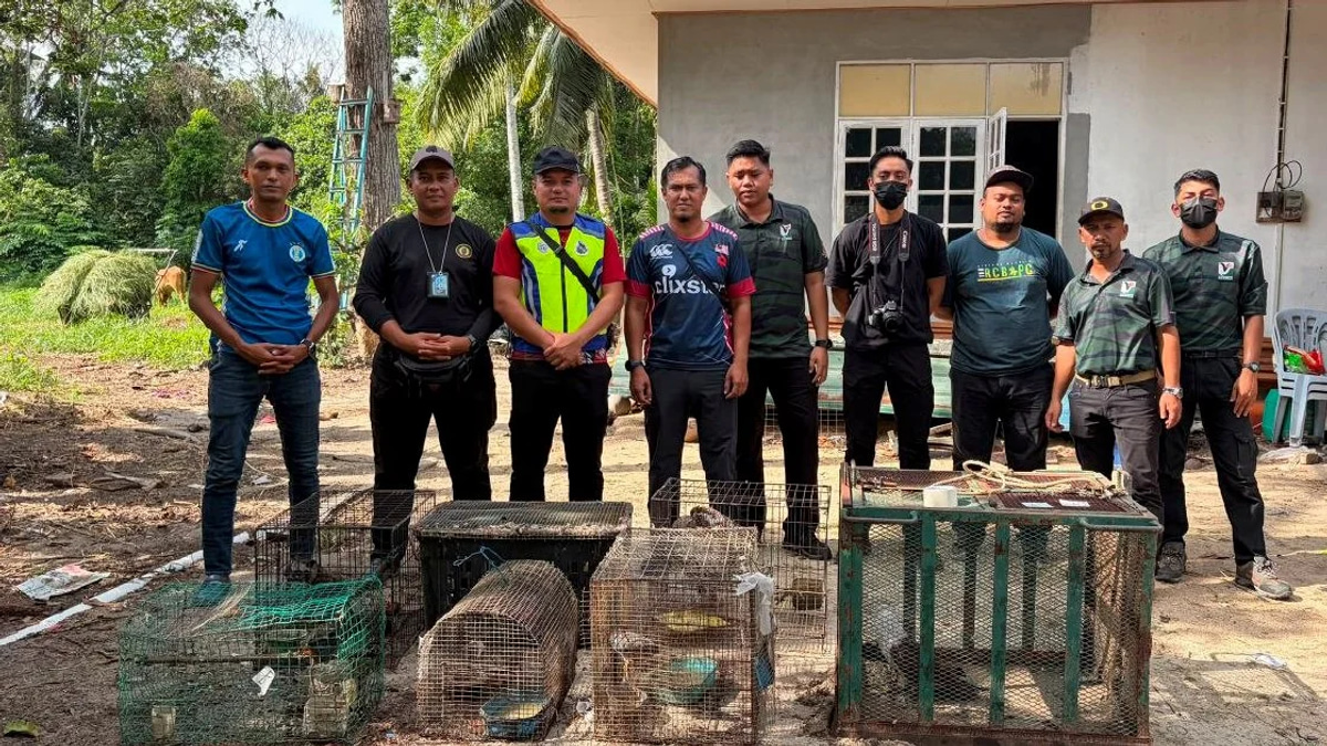 Teen held with RM48,500 haul of endangered animals in Tumpat operation