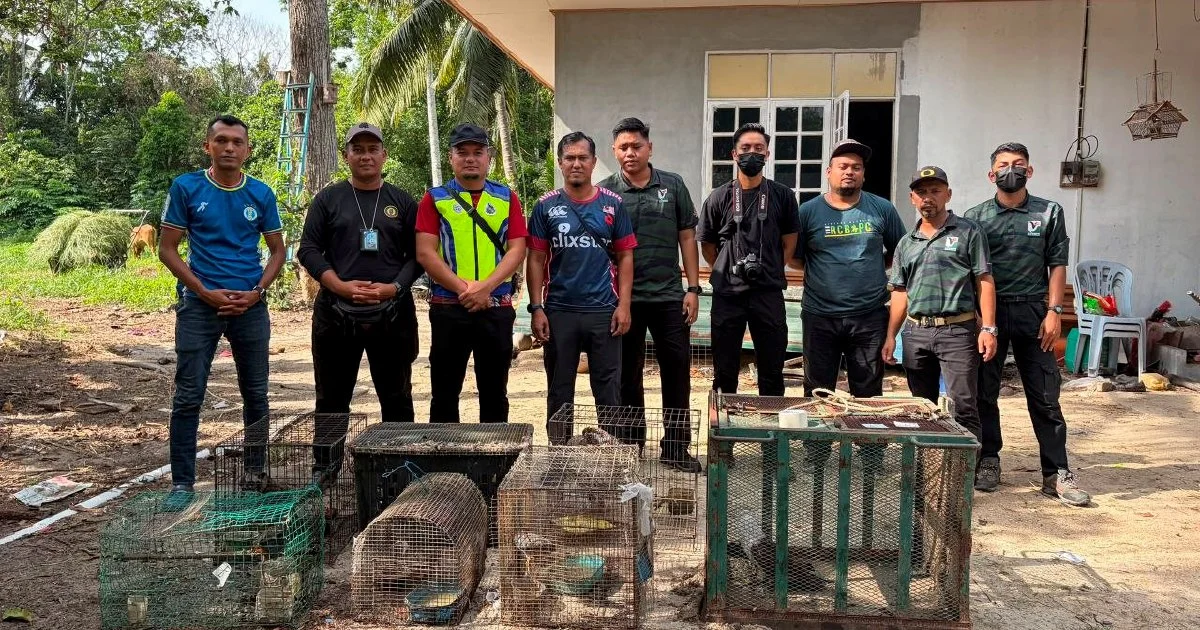 Teen held with RM48,500 haul of endangered animals in Tumpat operation