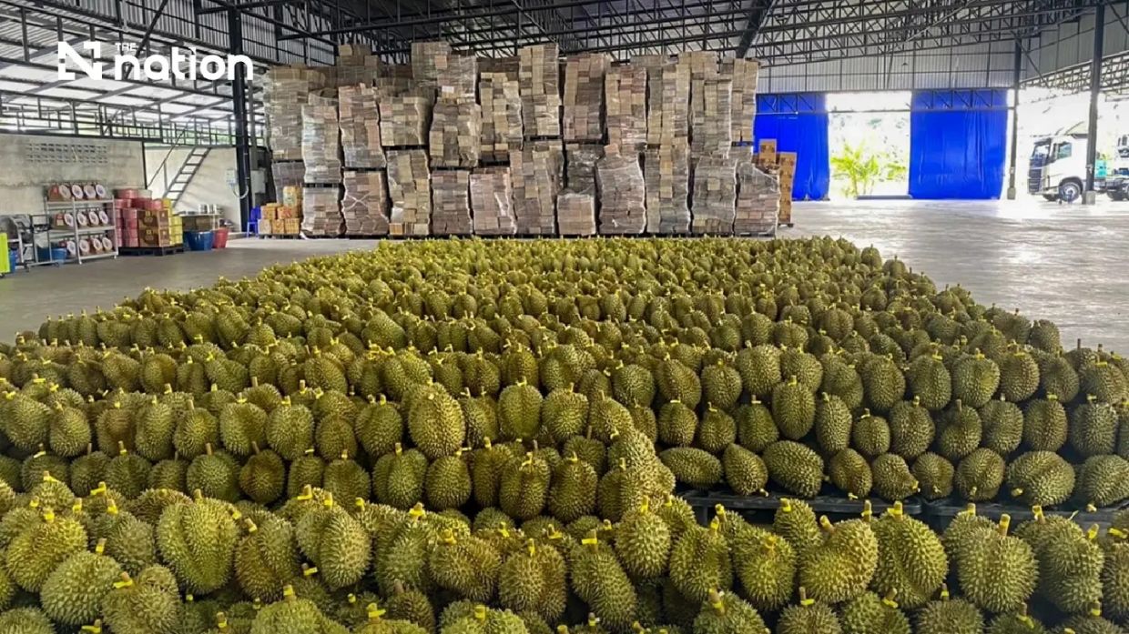 Thailand's Fresh Durian Exports to China Soar Past THB100 Billion Milestone