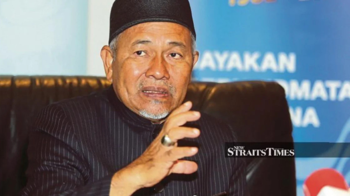 Hamzah's former allies support Tuan Ibrahim's Muafakat Nasional revival bid