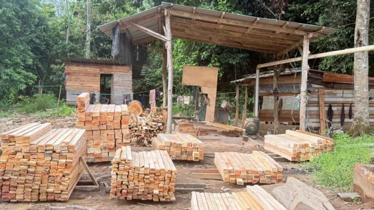 Five arrested after authorities uncover illegal sawmill operation in Kelantan