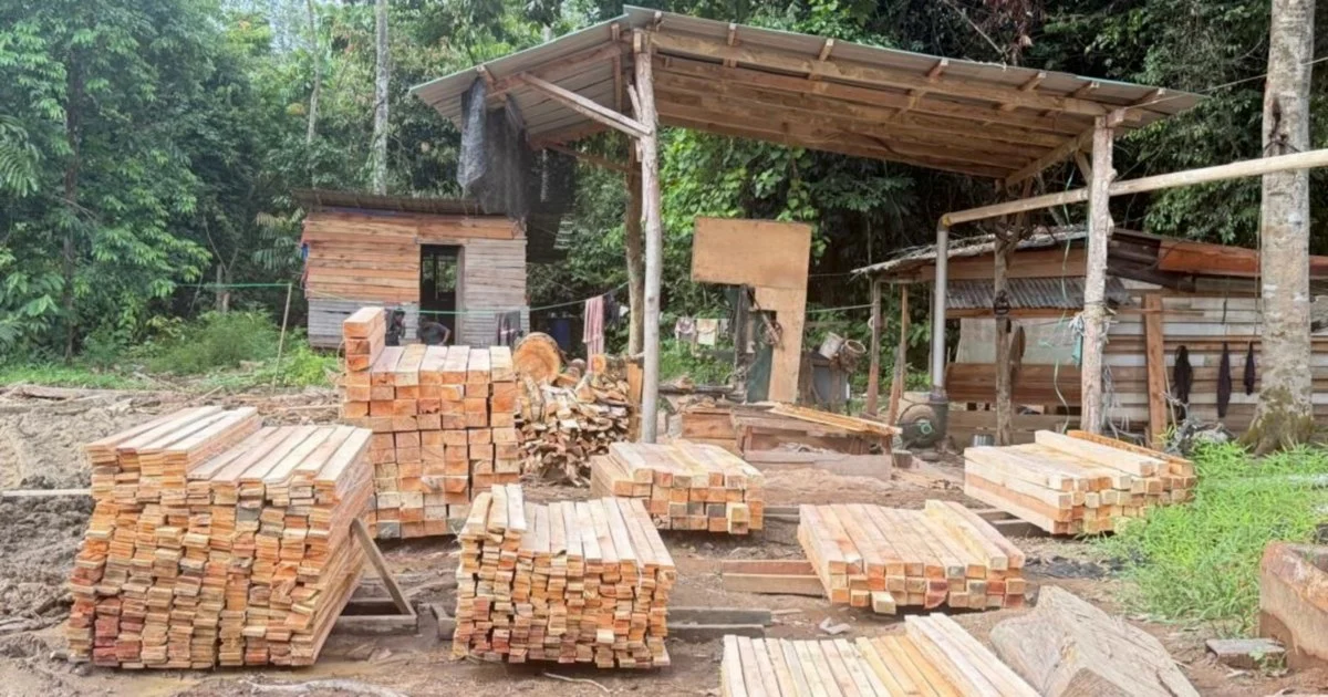 Five arrested after authorities uncover illegal sawmill operation in Kelantan