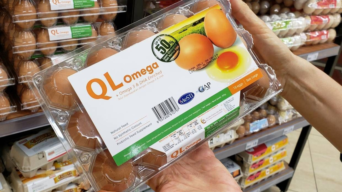 QL Resources Maintains Sound Fundamentals Despite Valuation-Driven Downgrade