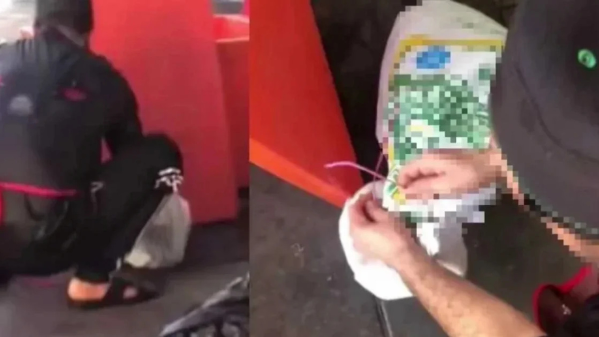 Man Probed Over Alleged Cat Abuse at Teluk Intan Restaurant