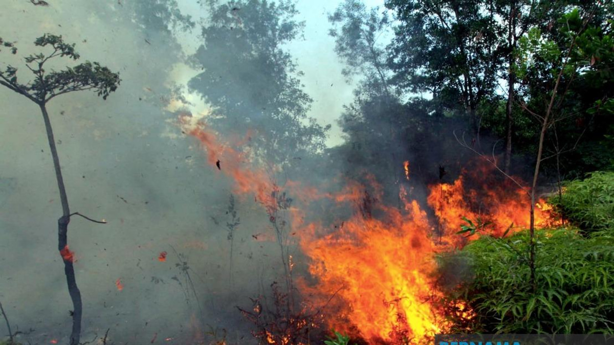Malaysia's Fire Service Bolsters Resources to Counter Forecast Super El Niño Threat
