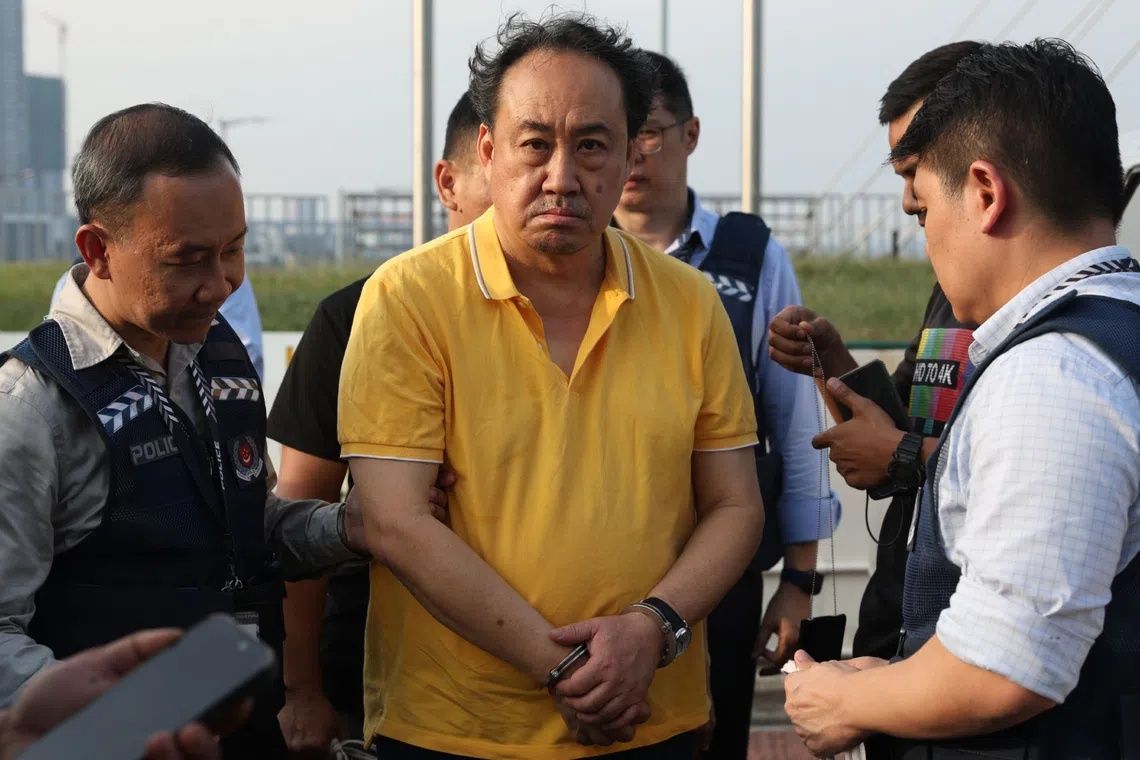 Lawyer Lim Tean deported to Singapore after arrest in Johor over failing to surrender for jail term