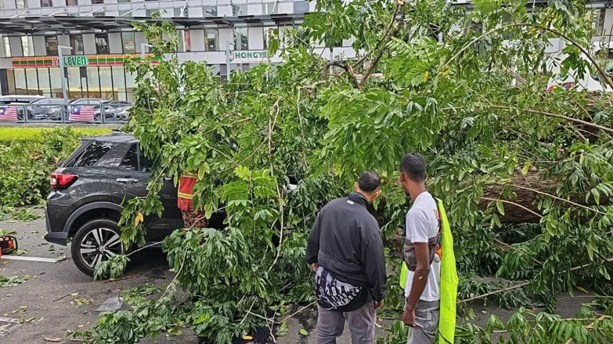 Three Family Members Escape with Injuries After Tree Crashes onto Car in Penang