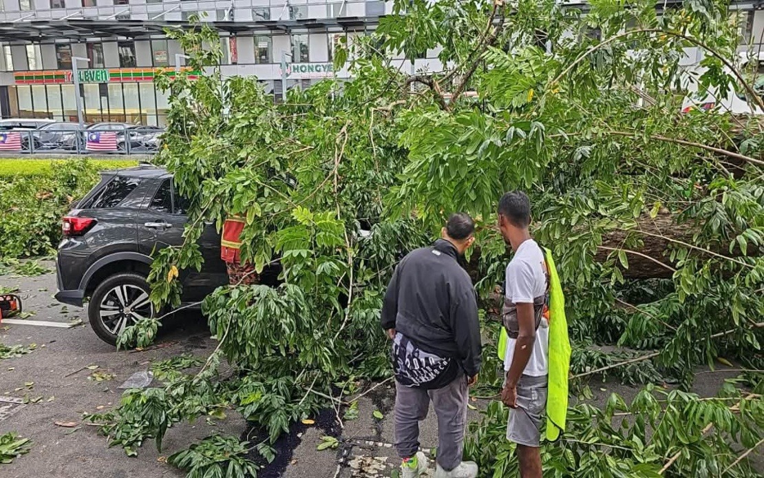 Three Family Members Escape with Injuries After Tree Crashes onto Car in Penang