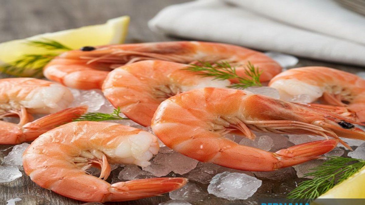 Thailand Prepared to Escalate Malaysia Shrimp Import Ban to WTO and ASEAN