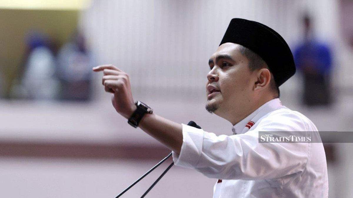 DAP and Umno Youth spar over Pakatan Harapan's coalition credentials
