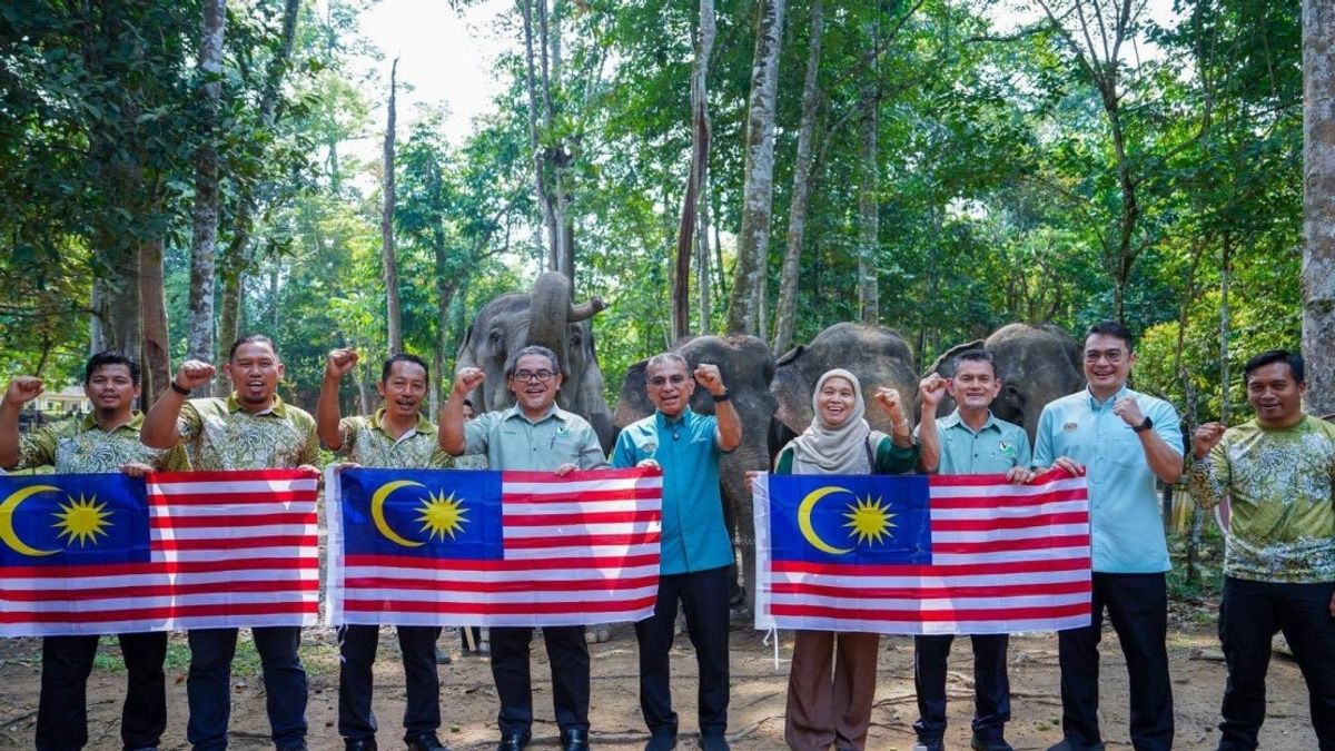 Malaysia Seeks New Strategies to Manage Human-Wildlife Conflicts as Encounters Escalate