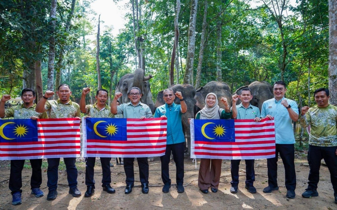 Malaysia Seeks New Strategies to Manage Human-Wildlife Conflicts as Encounters Escalate
