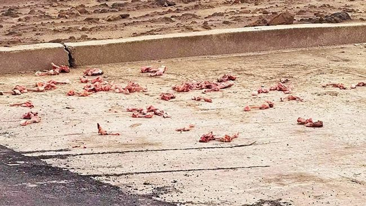 Malaysian fined BN$300 in Brunei for illegal food waste dumping