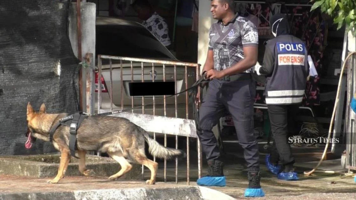 Rohingya man held over killing of compatriot in Simpang Ampat