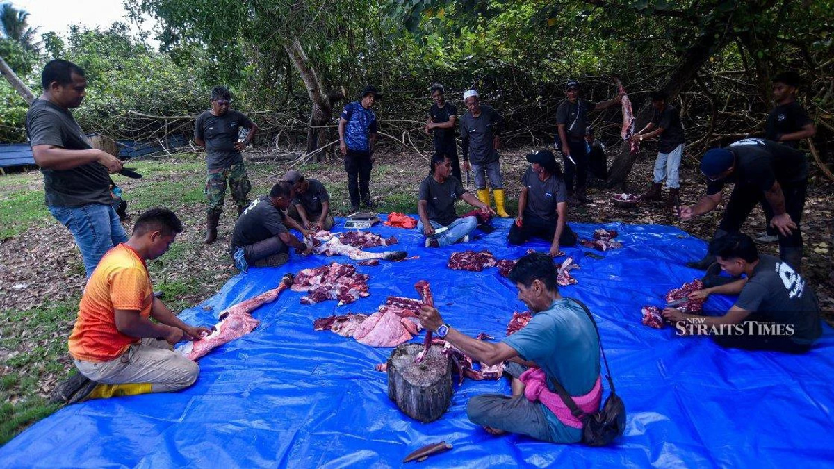 PM Anwar presents cattle to media outlets for Aidiladha