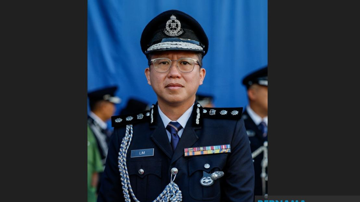 Port Klang Dog Death Handed to Police as MBDK Defends Capture Operation