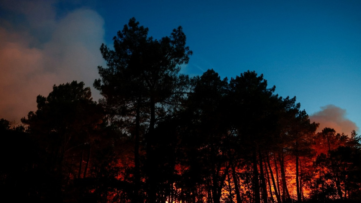 Suspected Arson Behind Major Wildfire Ravaging Fontainebleau Forest